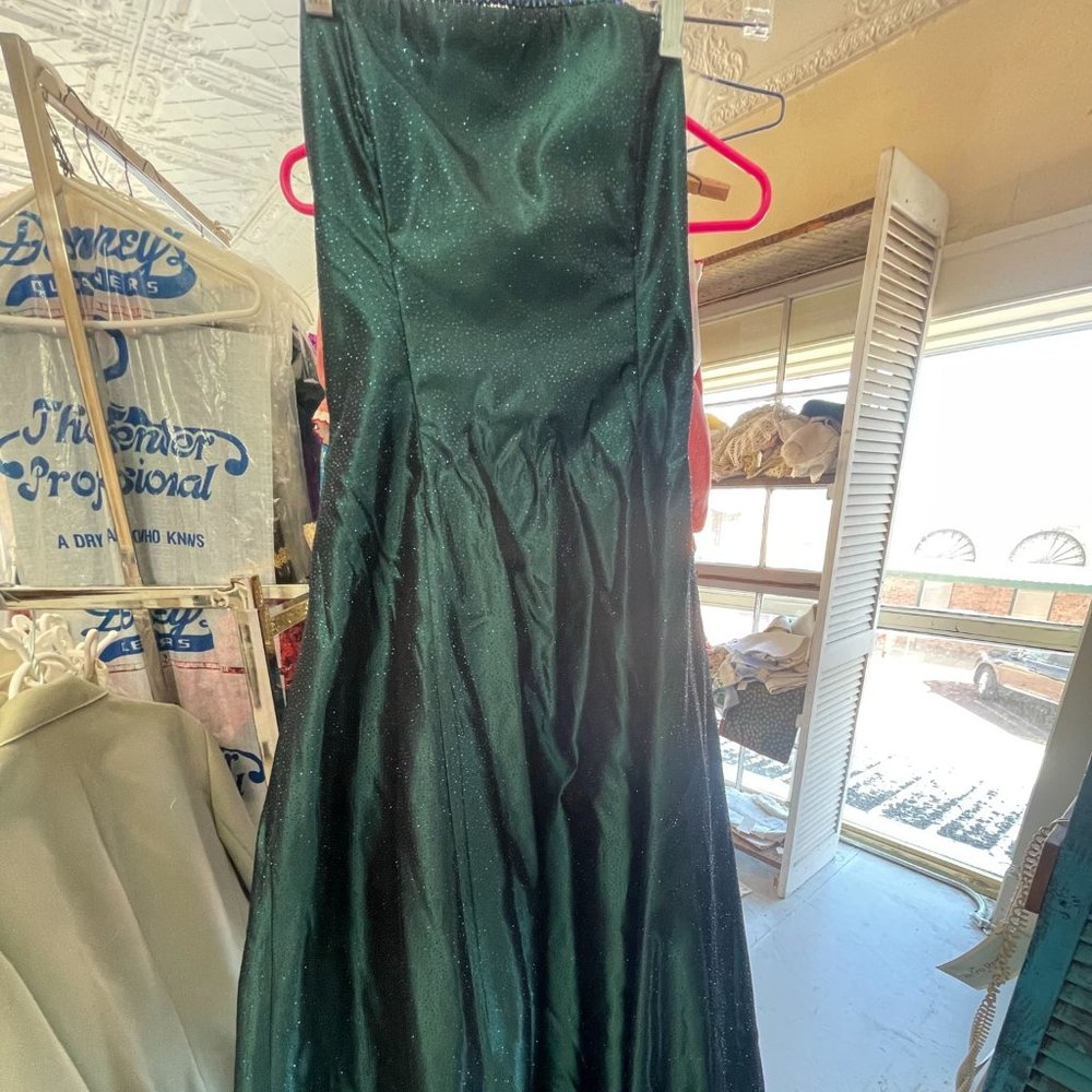 Scott McClintock Dress